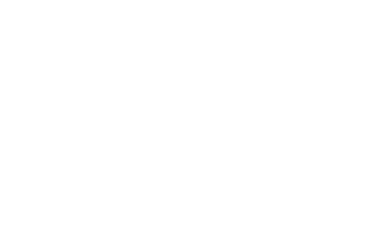 I Said Yes! Orlando and Tampa Logo